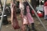 Pig slaughtering 2017 in Pivnice U Čápa