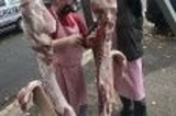 Pig slaughtering 2017 in Pivnice U Čápa