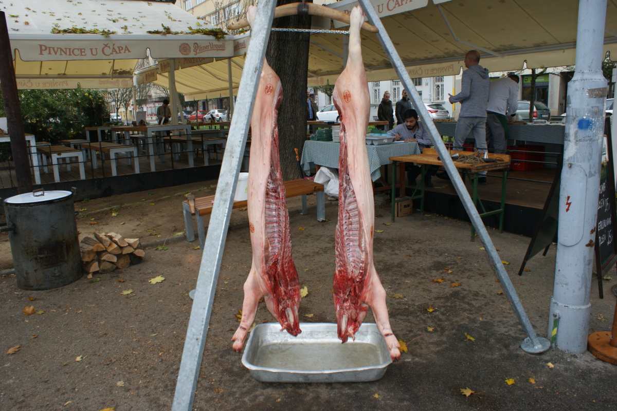 Pig slaughtering 2017 in Pivnice U Čápa